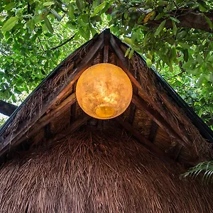 Blue Parrot On 5th Avenue 3* Playa del Carmen